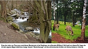 Thumbnail of bild20.jpg