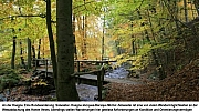 Thumbnail of bild33.jpg