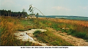 Thumbnail of bild34.jpg